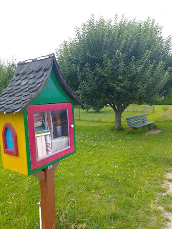 Glück: Mit Buch auf der  Bank unterm Apfelbaum