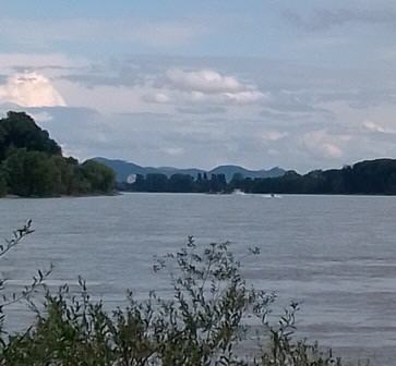 Erster Blick aufs Siebengebirge